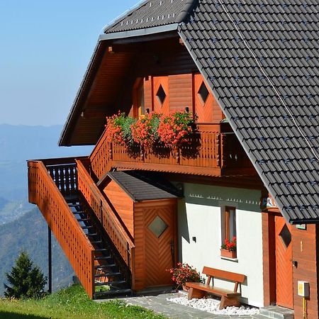 Apartmaji Srnca سيركنو المظهر الخارجي الصورة